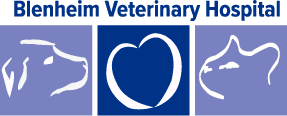 Blenheim Veterinary Hospital