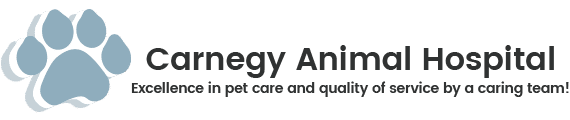 Carnegy Animal Hospital