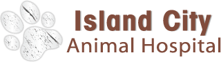 Island City Animal Hospital