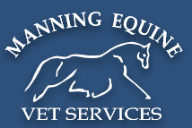 Manning Equine Veterinary Services