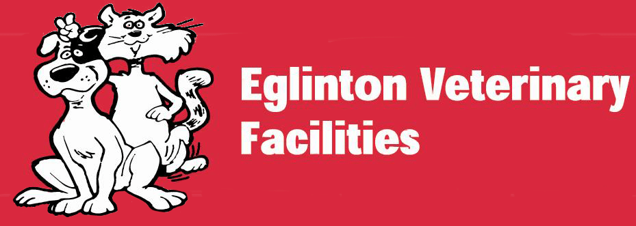 Eglinton Veterinary Facilities