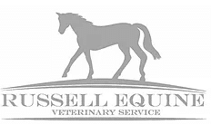 Russell Equine