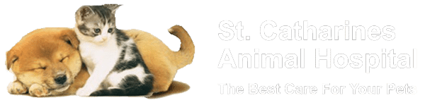 St. Catharines Animal Hospital