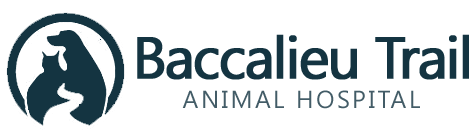 Baccalieu Trail Animal Hospital