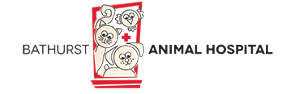 Bathurst Animal Hospital