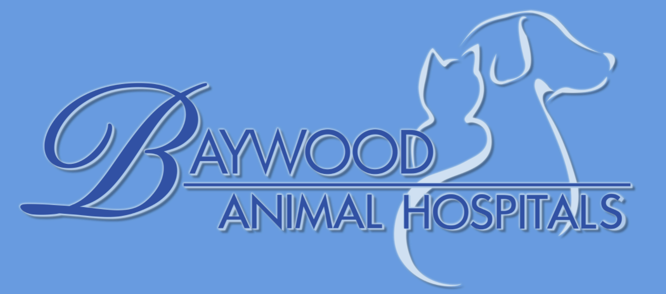 Baywood Animal Hospital
