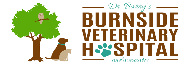 Burnside Veterinary Hospital