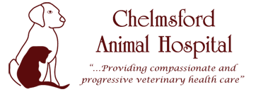 Chelmsford Animal Hospital