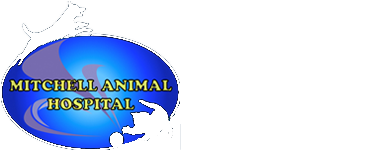 Mitchell Animal Hospital