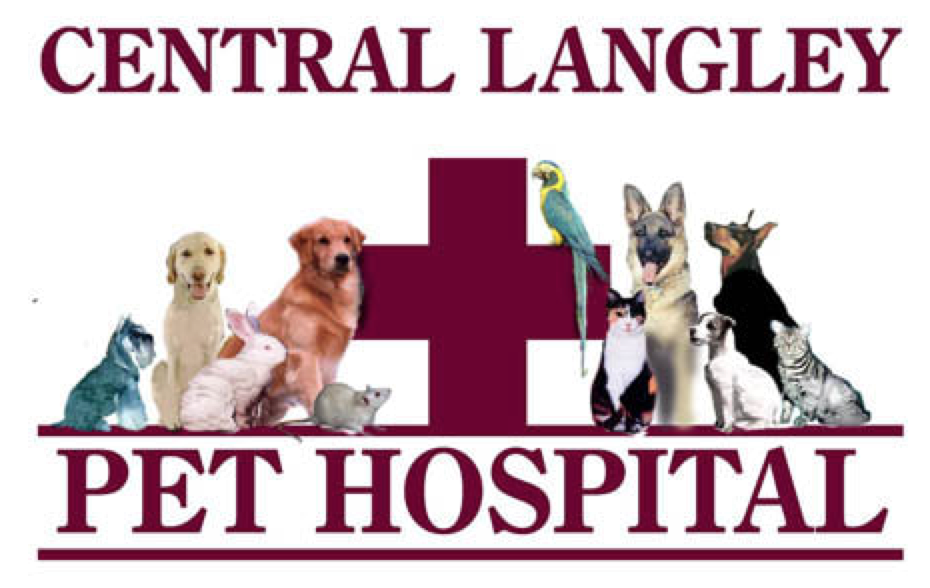 Central Langley Pet Hospital