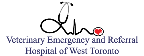 Veterinary Emergency Hospital of West Toronto