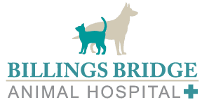 Billings Bridge Animal Hospital