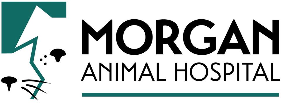 Morgan Animal Hospital