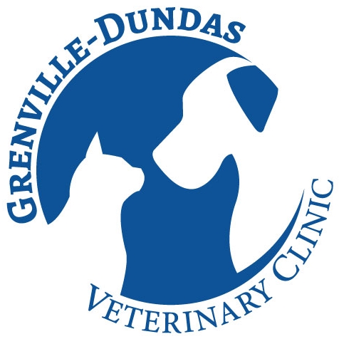 Grenville-Dundas Veterinary Clinic