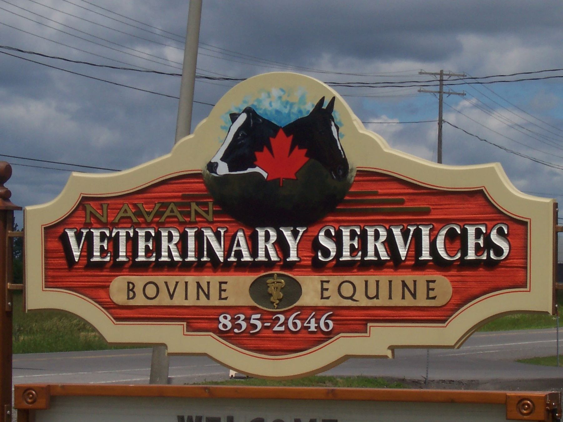 Navan Veterinary Services