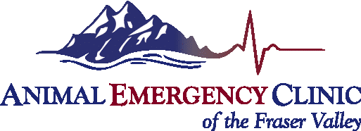 Animal Emergency Clinic of the Fraser Valley