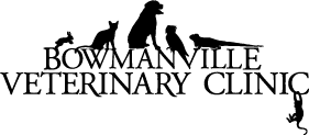 Bowmanville Veterinary Clinic