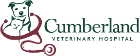 Cumberland Veterinary Hospital