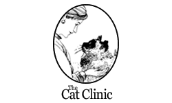 Cat Clinic