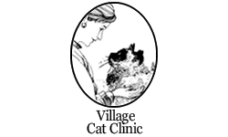 Village Cat Clinic