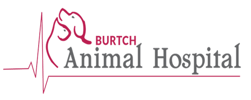 Burtch Animal Hospital