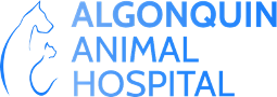 Algonquin Animal Hospital
