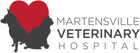 Martensville Veterinary Hospital