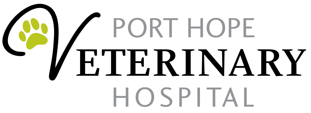 Port Hope Veterinary Hospital