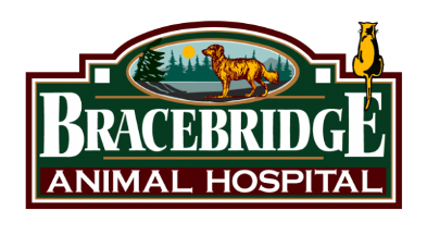 Bracebridge Animal Hospital