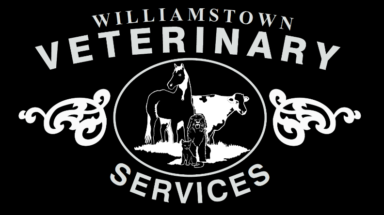 Williamstown Veterinary Services
